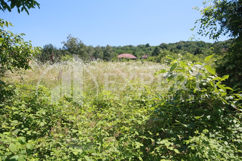 Plac, Palilula, Gabrovac ID: p-01432 3