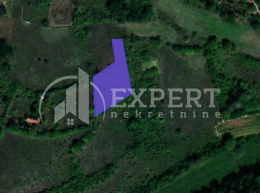 Plac, Palilula, Kovanlučka ID: p-07039 1