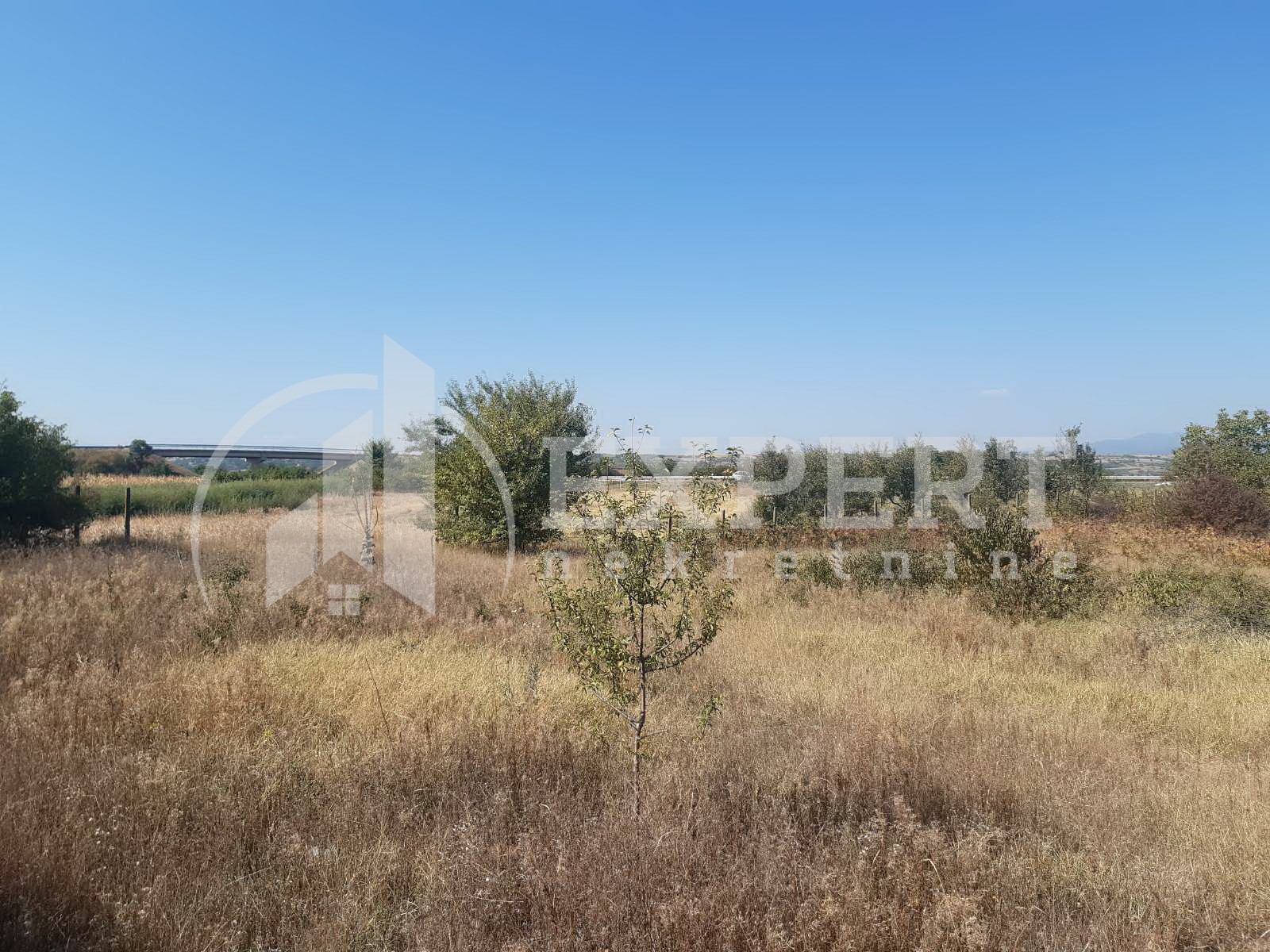 Plac, Palilula, Novo selo ID: p-04114 3