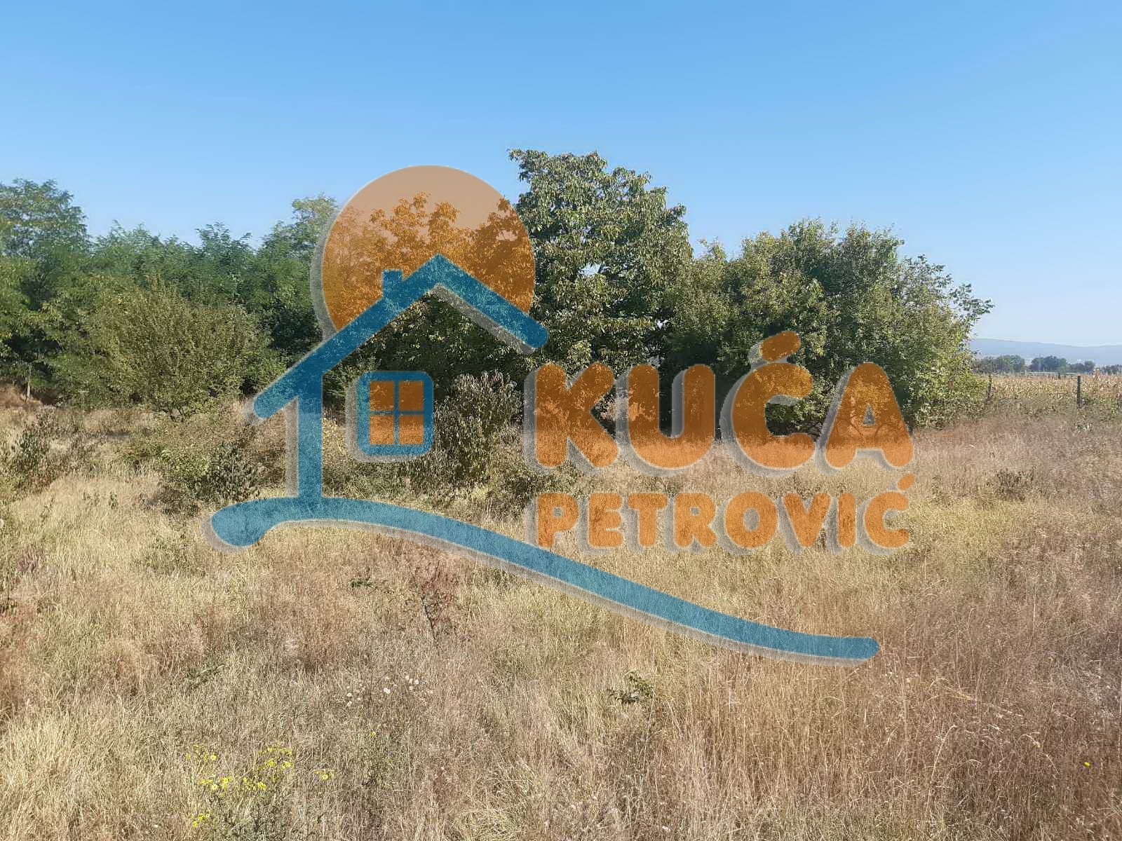 Plac, Palilula, Novo selo ID: p-04114 2