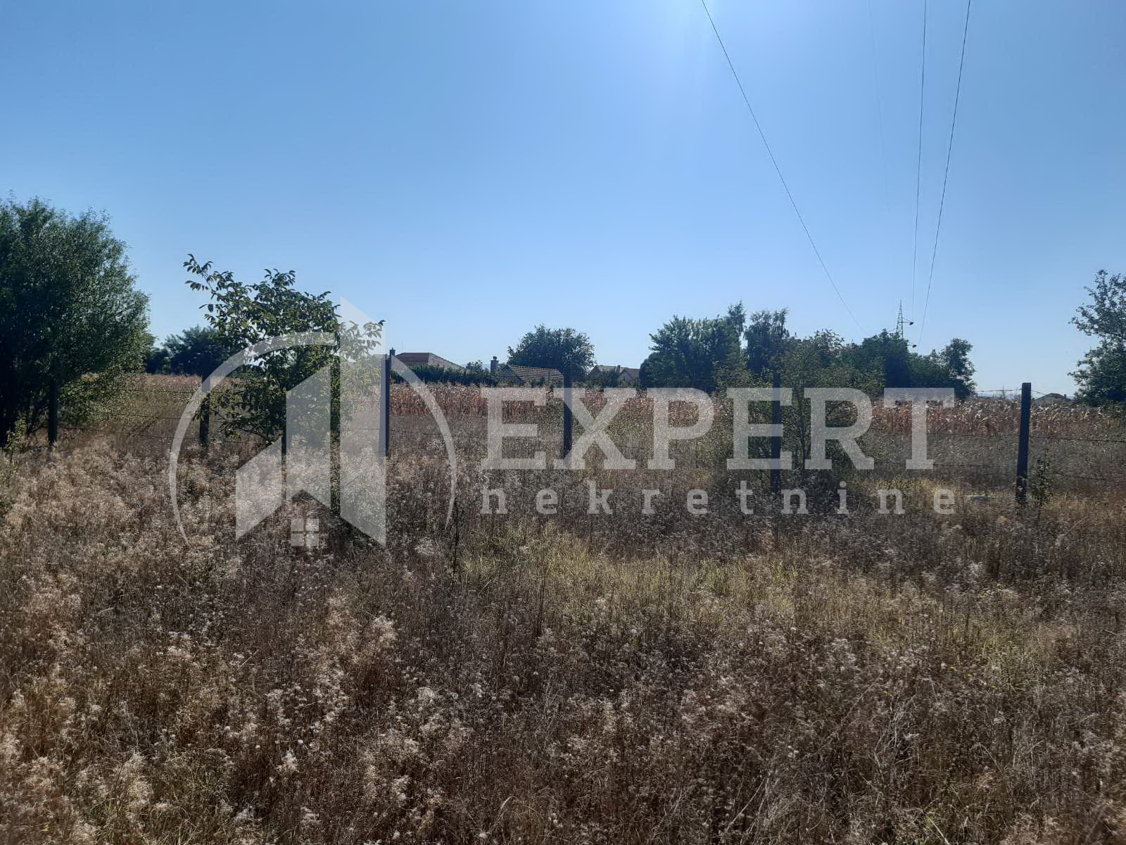 Plac, Palilula, Novo selo ID: p-04116 5