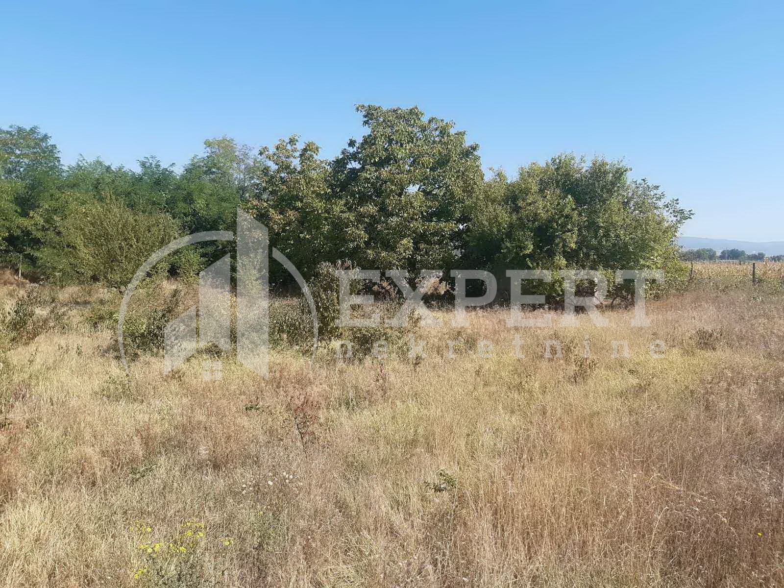 Plac, Palilula, Novo selo ID: p-04116 6