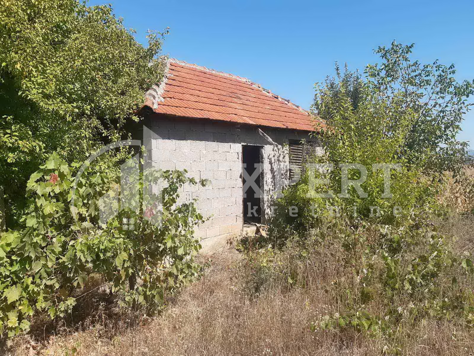 Plac, Palilula, Novo selo ID: p-04116 3