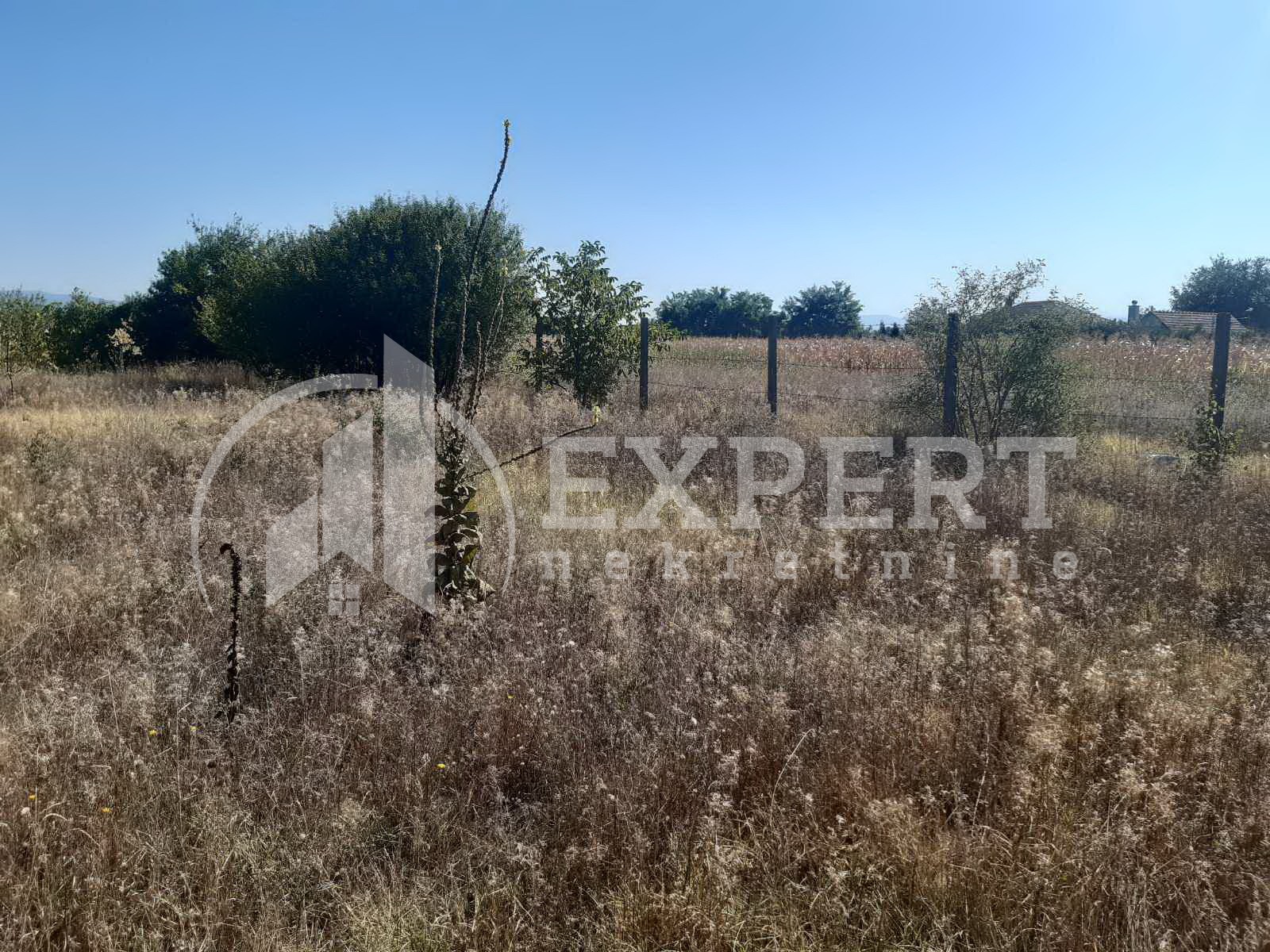 Plac, Palilula, Novo selo ID: p-04116 4