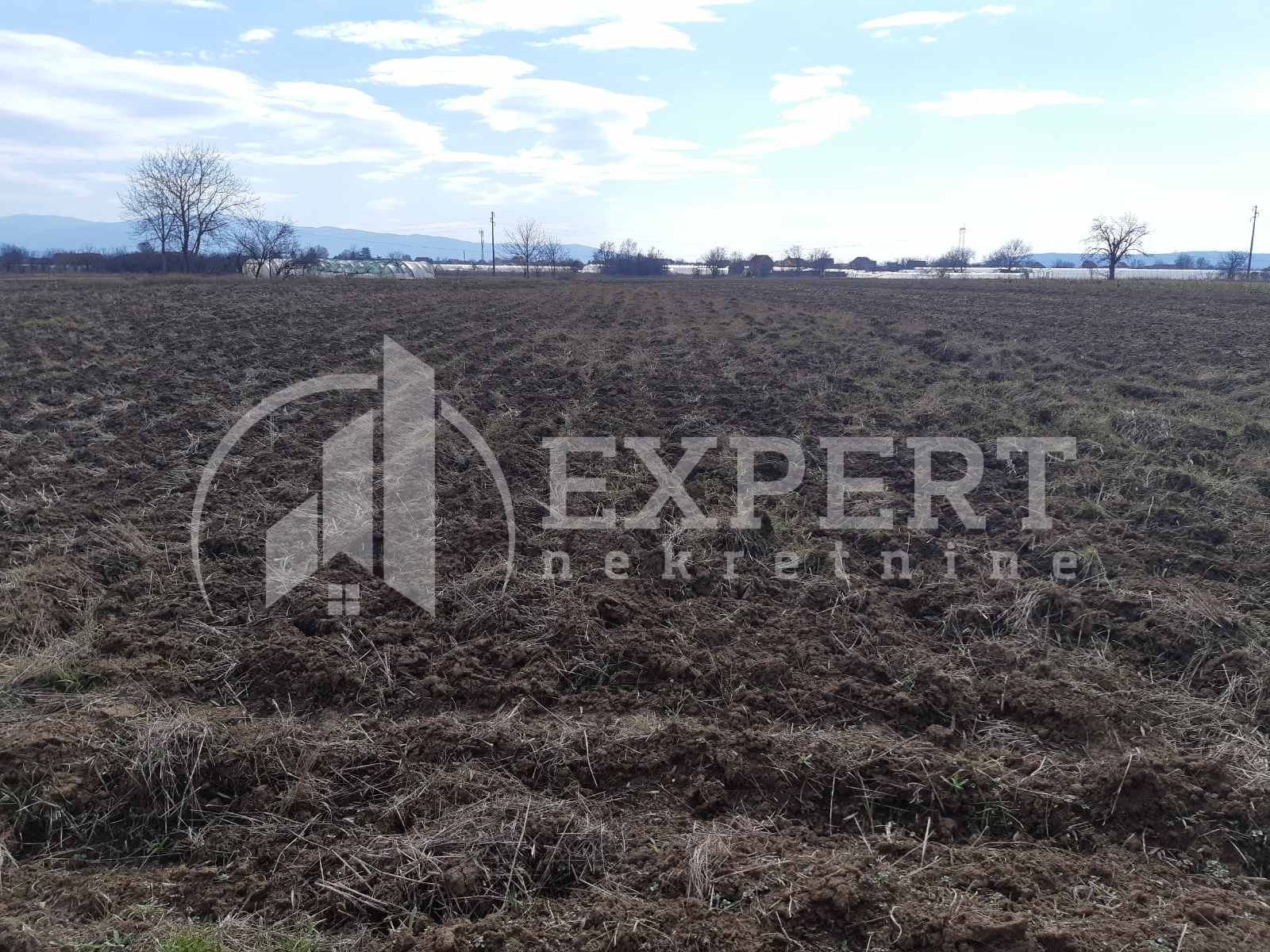 Plac, Palilula, Novo selo ID: p-05147 2