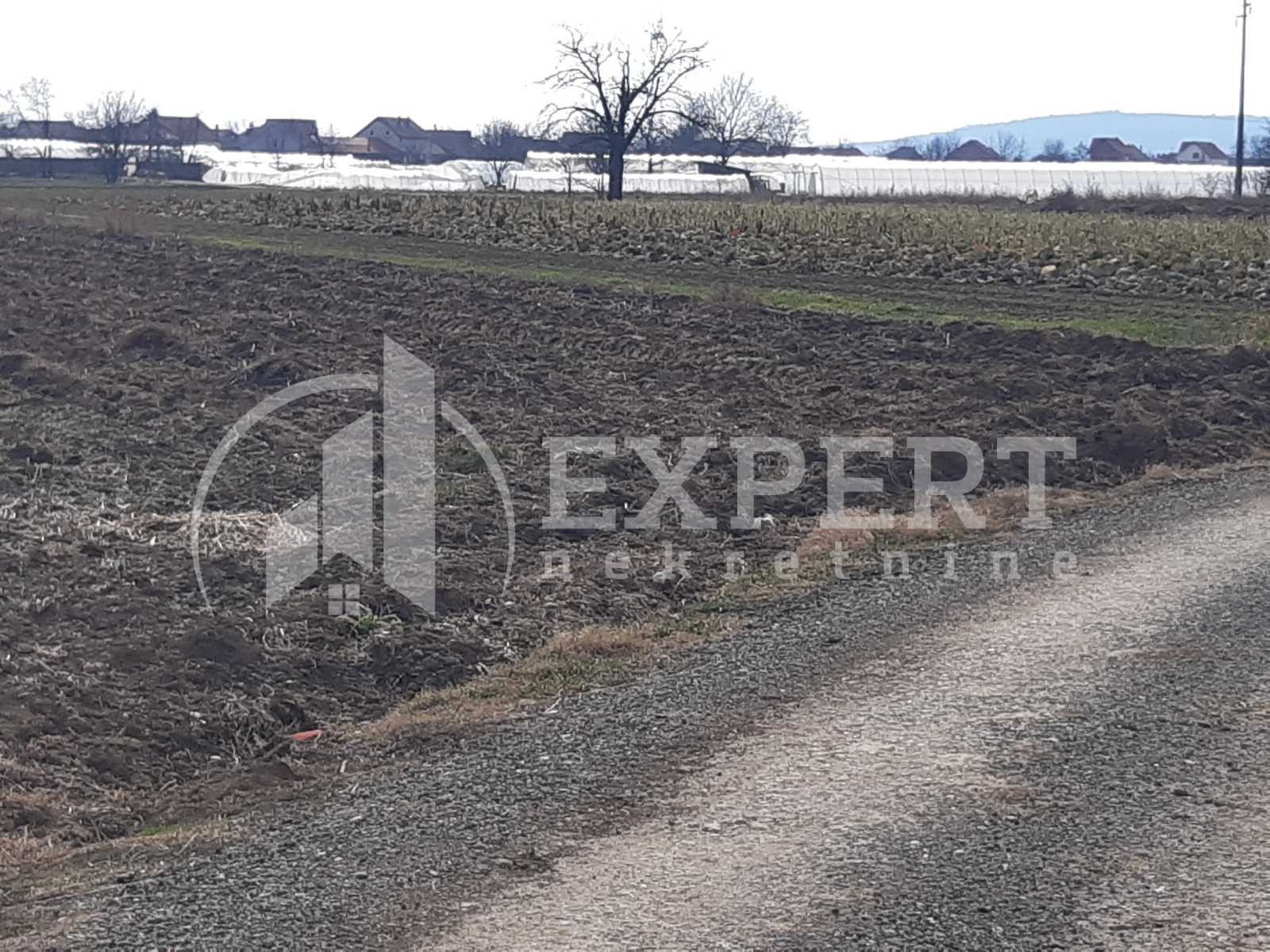 Plac, Palilula, Novo selo ID: p-05147 3