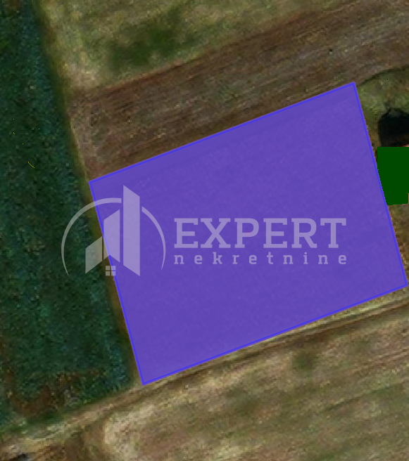 Plac, Palilula, Novo selo ID: p-05930 2