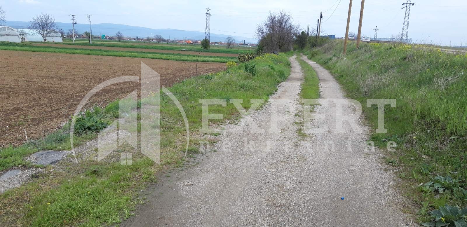 Plac, Palilula, Novo selo ID: p-07773 3