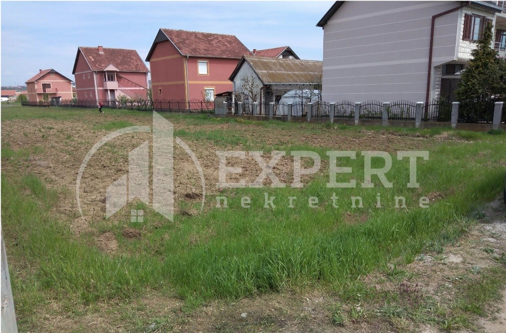 Plac, Palilula, Pasi poljana ID: p-04483 2