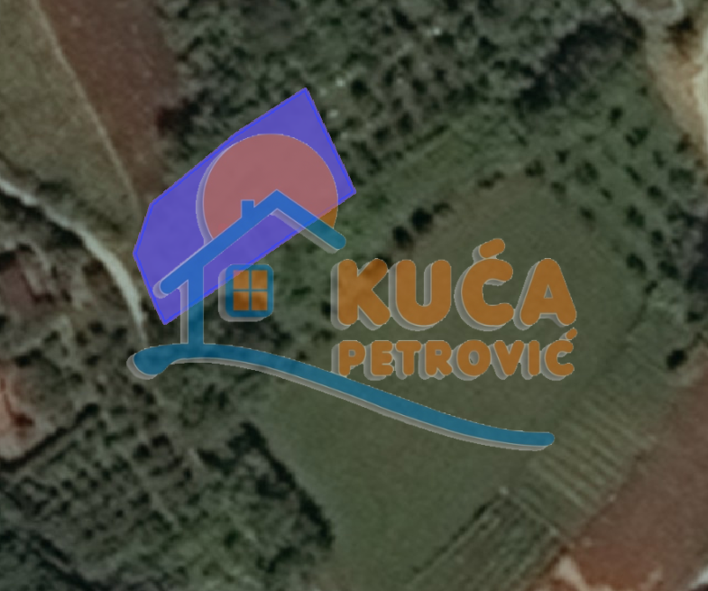 Plac, Prva Kutina, Niška Banja ID: p-02249 1