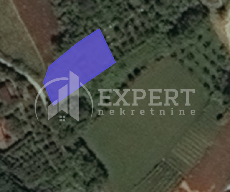 Plac, Prva Kutina, Niška Banja ID: p-02249 1