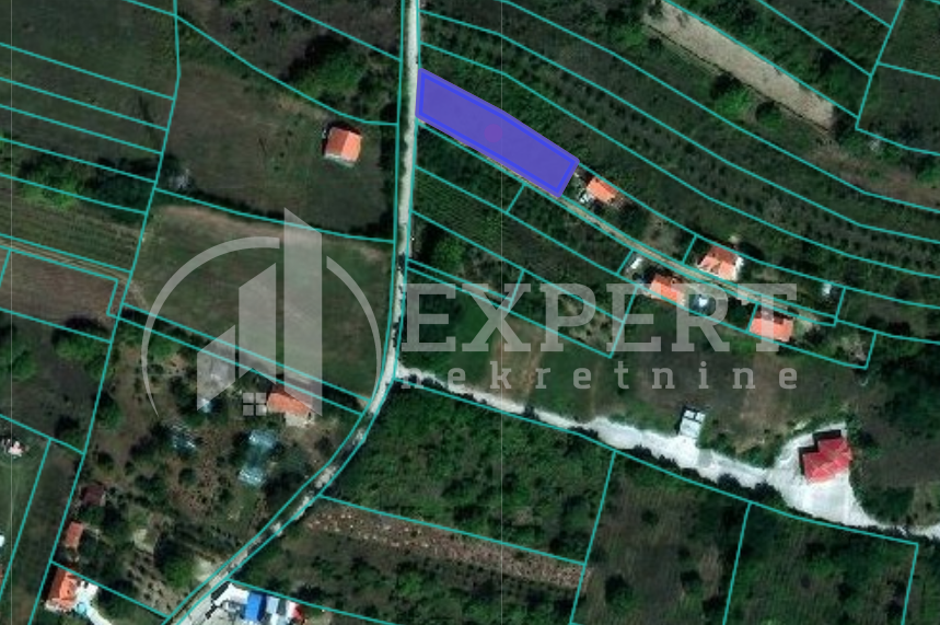 Plac, Vinik, Podvinička ID: p-06691 2