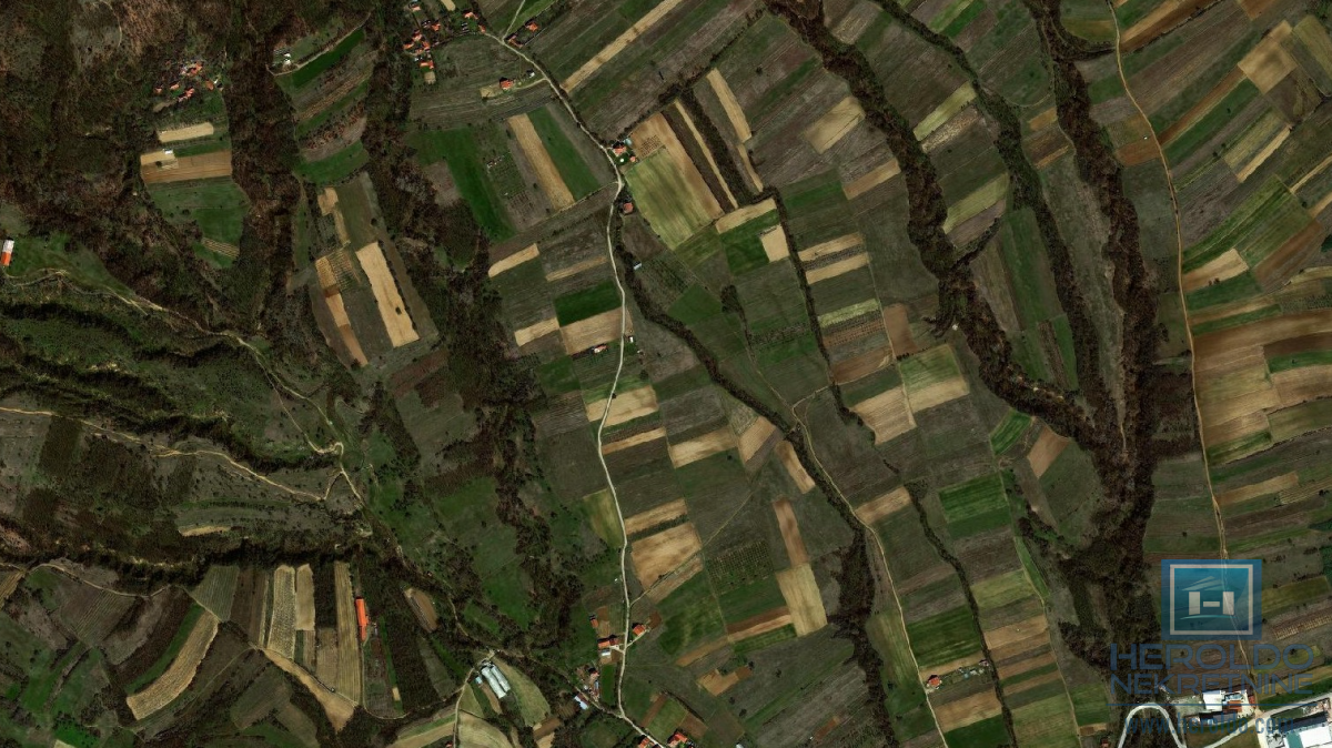 Vranje selo Dubnica 1