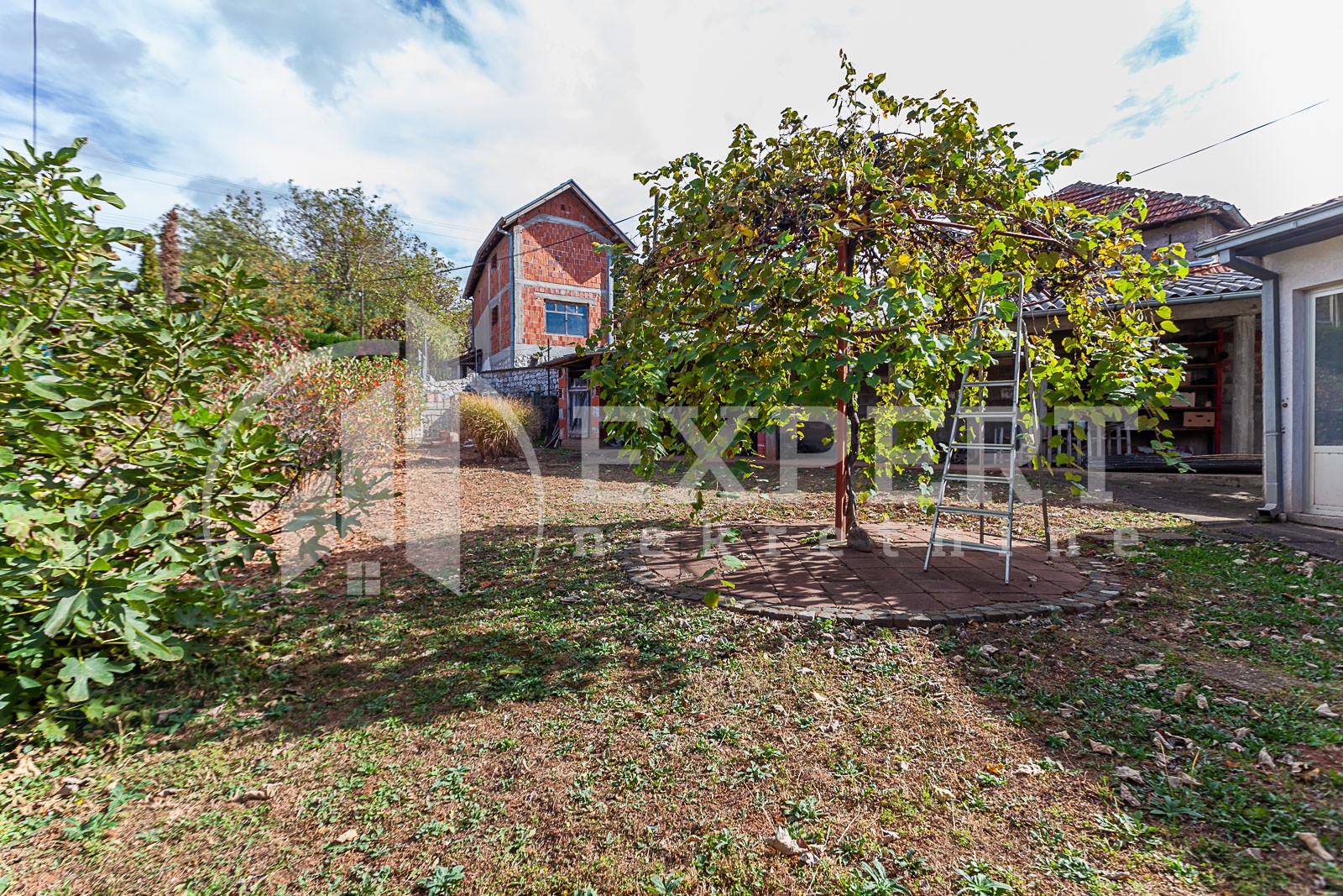 Trosobna kuća, 244 m2, Jelašnica, Železnička ID: p-010011 4