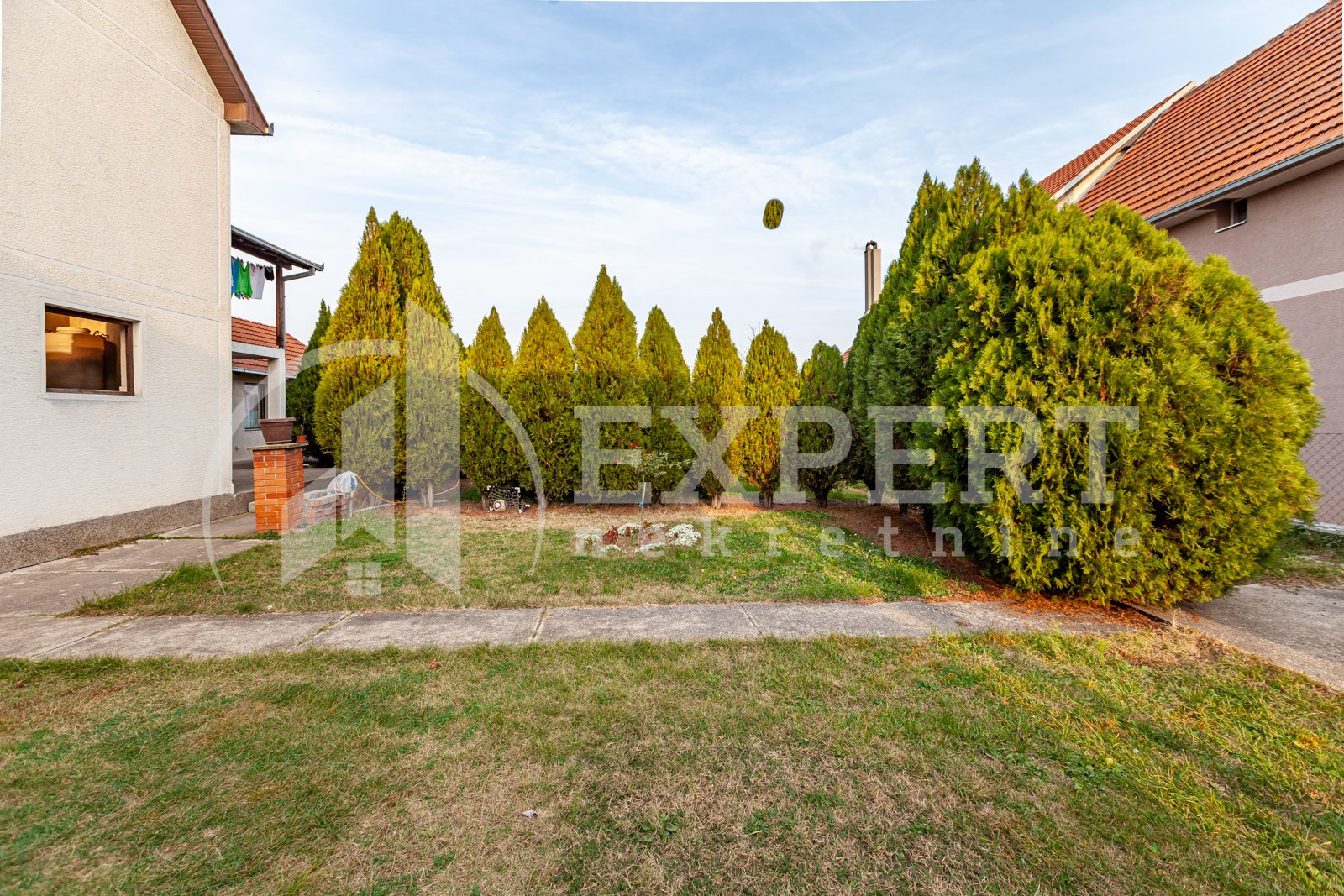 Trosobna kuća, 300 m2, Palilula, Novo selo ID: p-07097 1