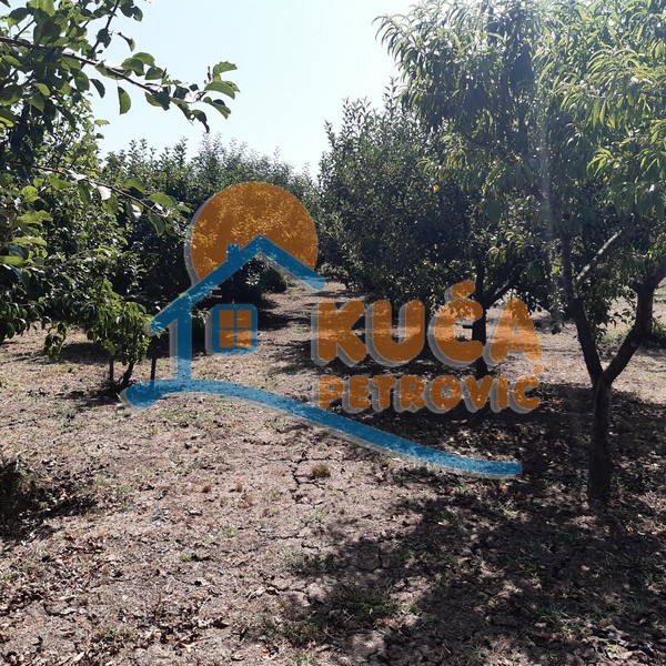 Trosobna kuća, 99 m2, Ćićina, Ćićina ID: p-09252 18