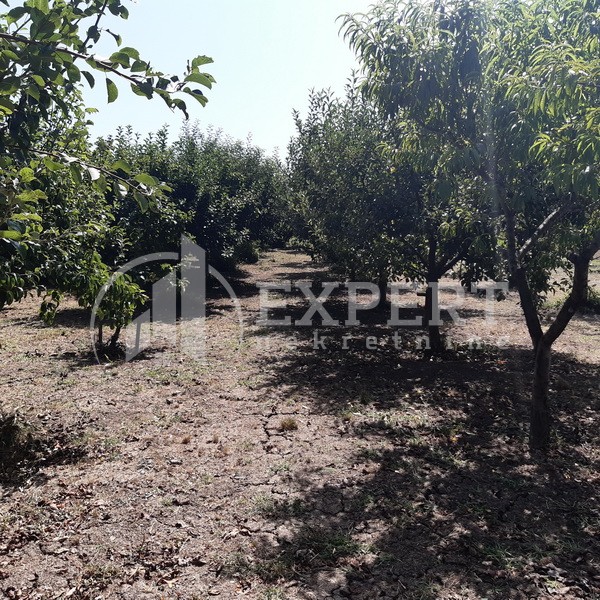 Trosobna kuća, 99 m2, Ćićina, Ćićina ID: p-09252 18