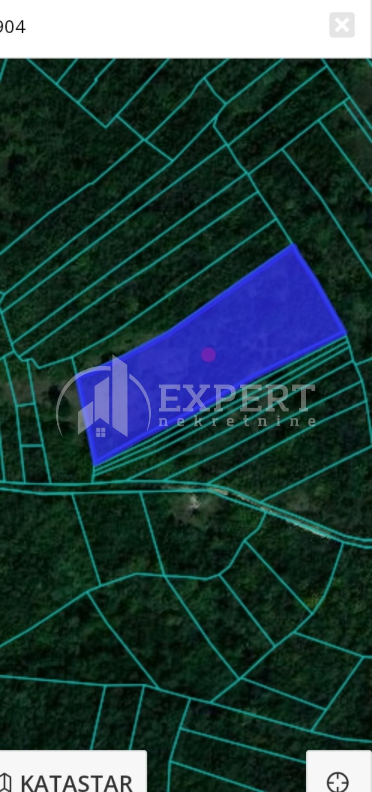 Plac, Vinik, Borska ID: p-06706 2