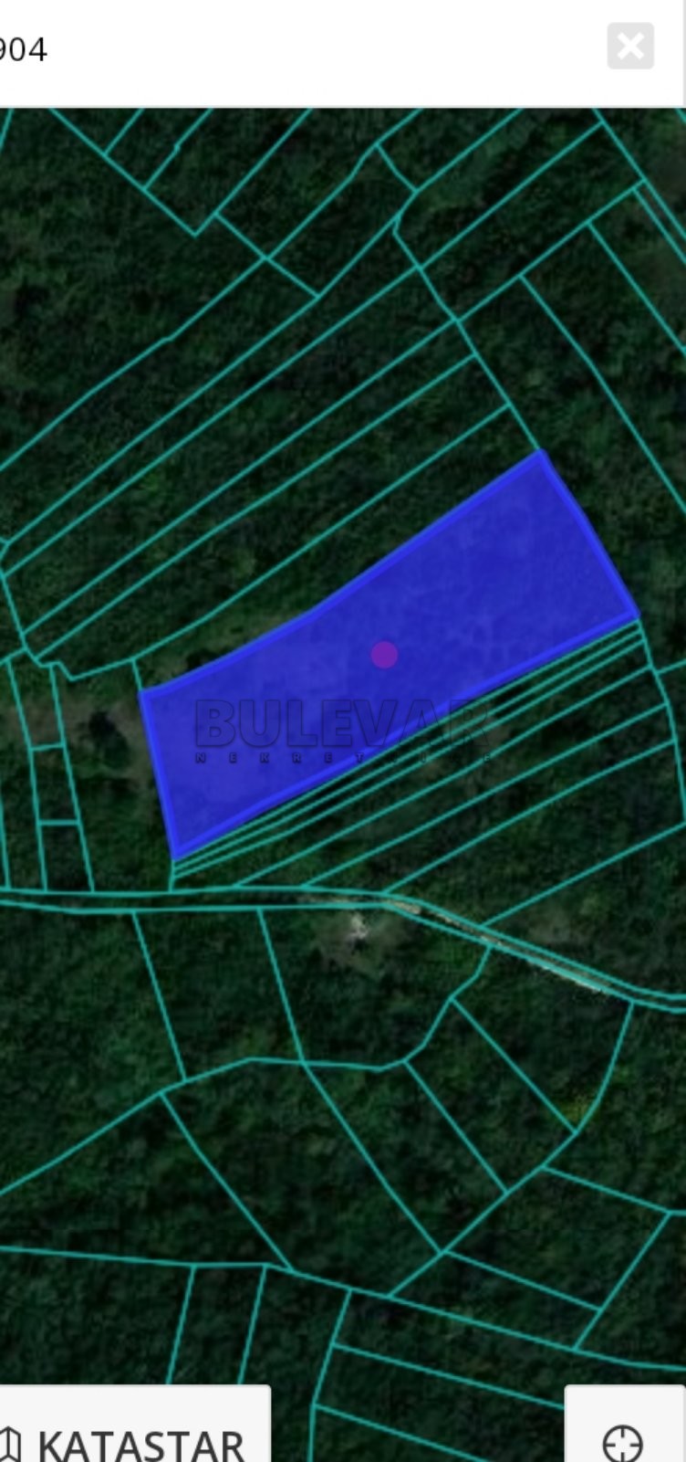 Plac, Vinik, Borska ID: p-06706 2