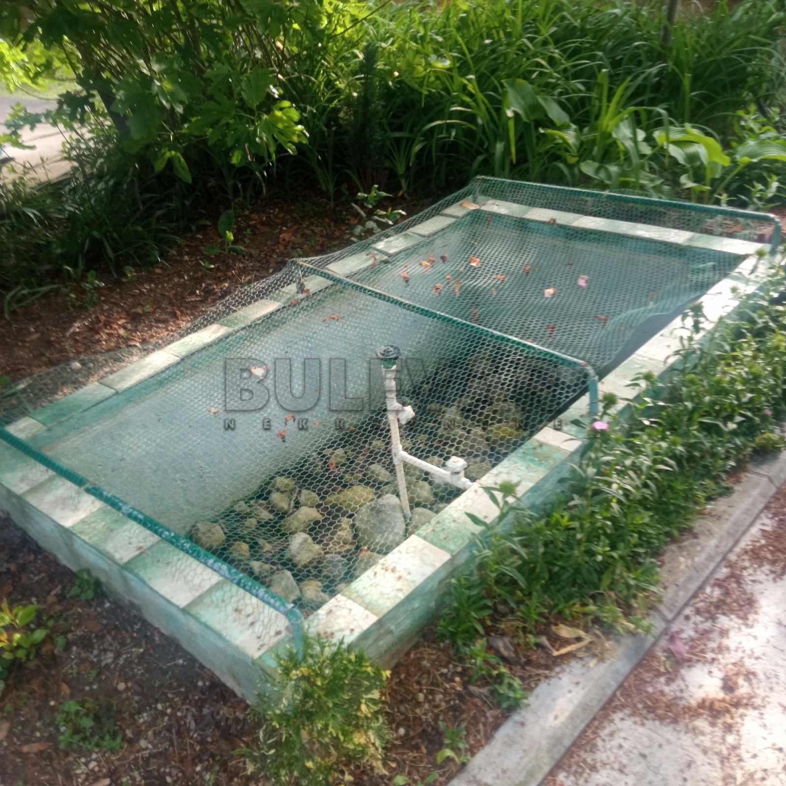 četvorosobna kuća, 334 m2, Šumarice, Despota Uglješe ID: p-011373 18