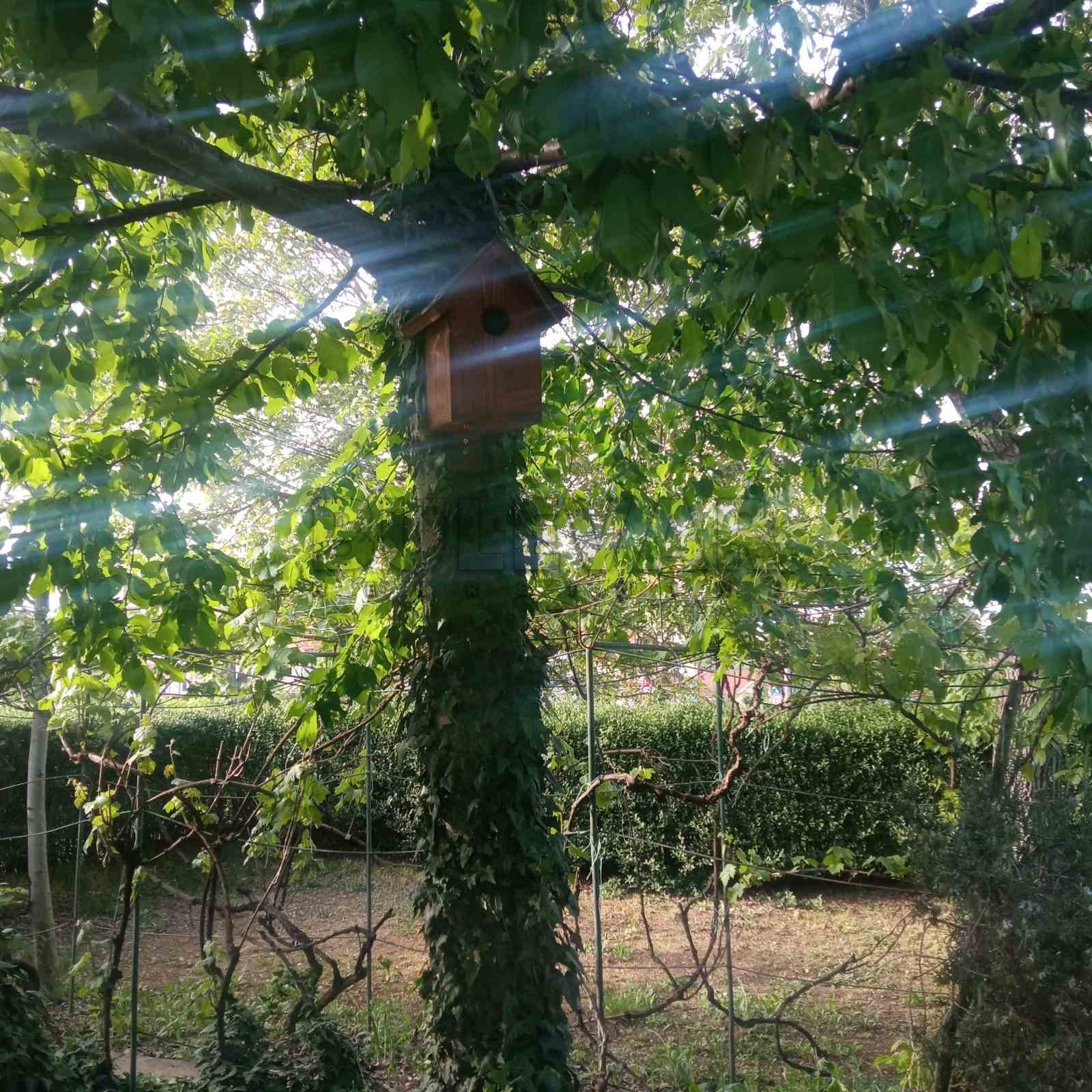 četvorosobna kuća, 334 m2, Šumarice, Despota Uglješe ID: p-011373 11