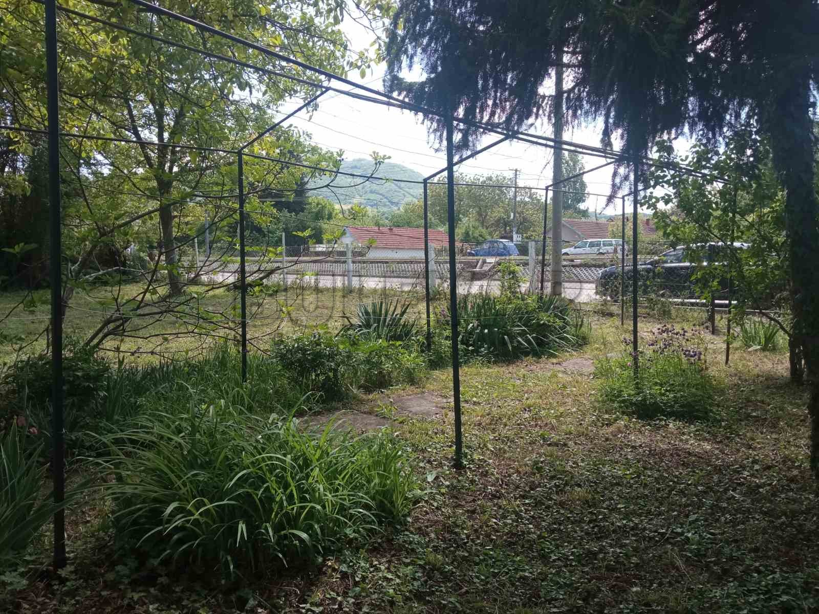 Plac, Niška Banja, Bulevar svetog cara ID: i-011388 10