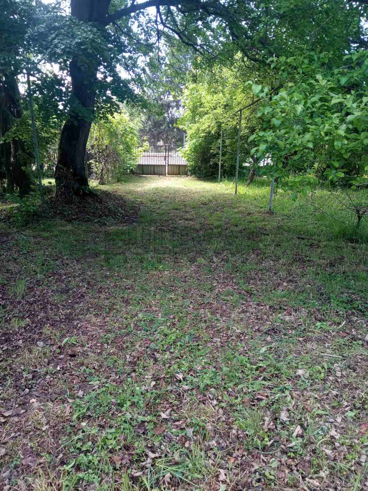 Plac, Niška Banja, Bulevar svetog cara ID: i-011388 12