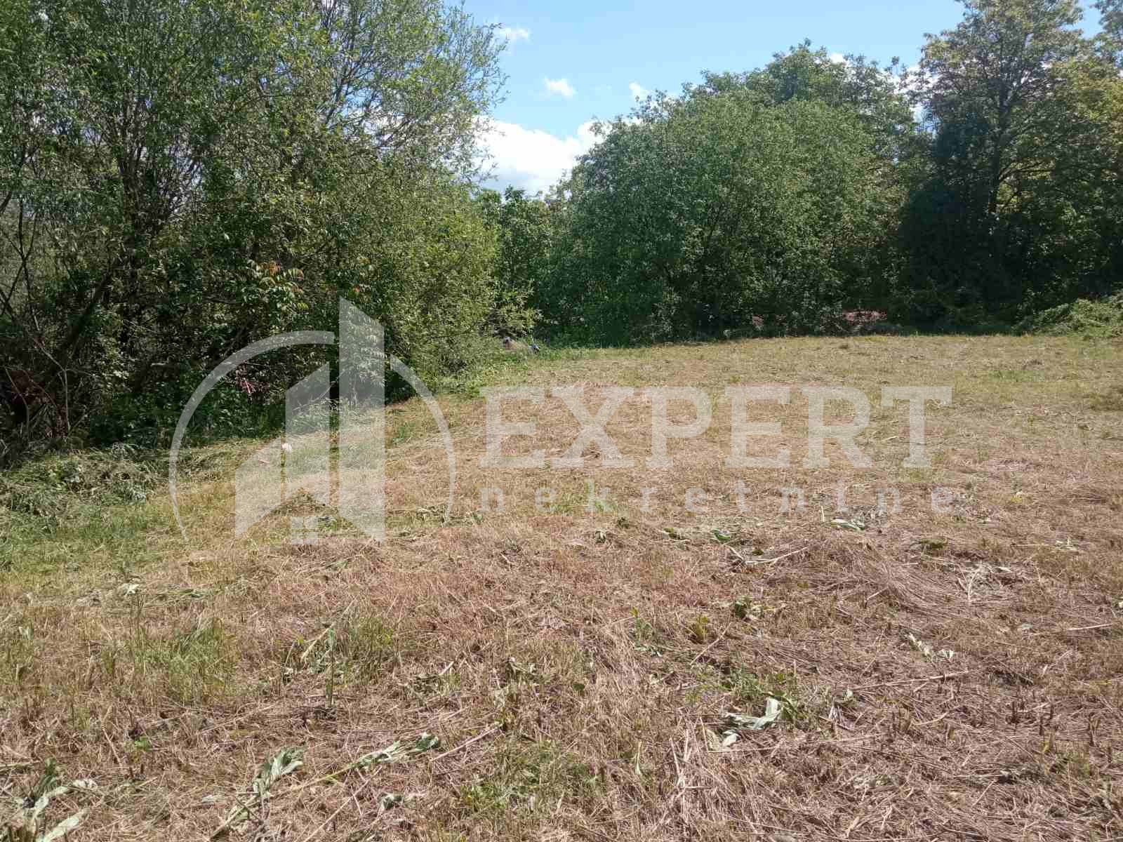 Plac, Niška Banja, Bulevar svetog cara ID: i-011388 3