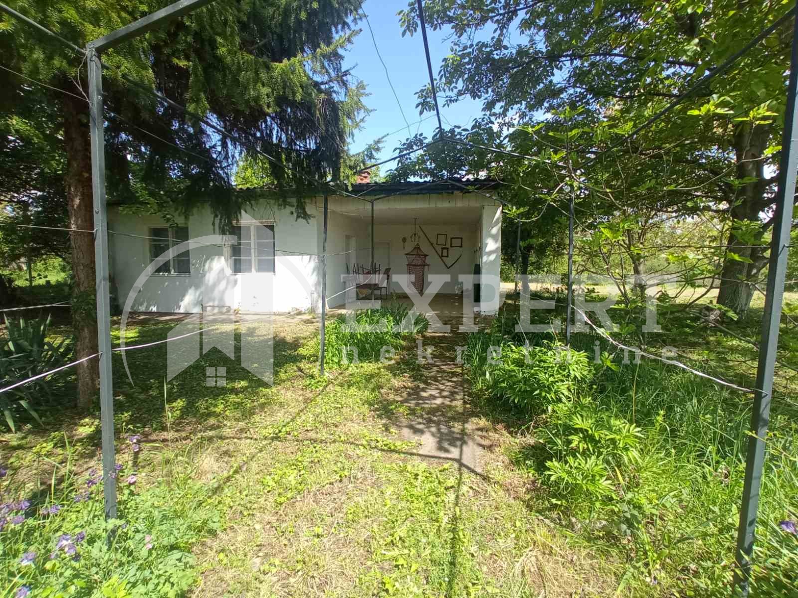 Plac, Niška Banja, Bulevar svetog cara ID: i-011388 8