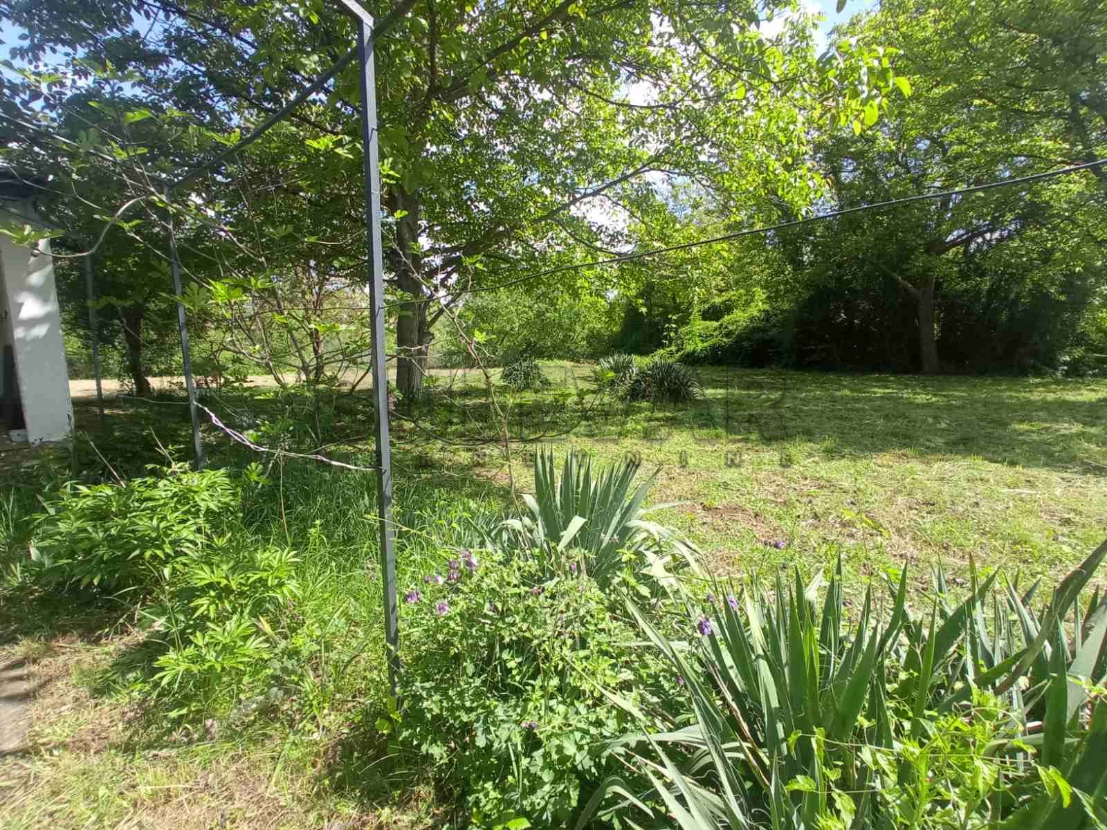 Plac, Niška Banja, Bulevar svetog cara ID: i-011388 14