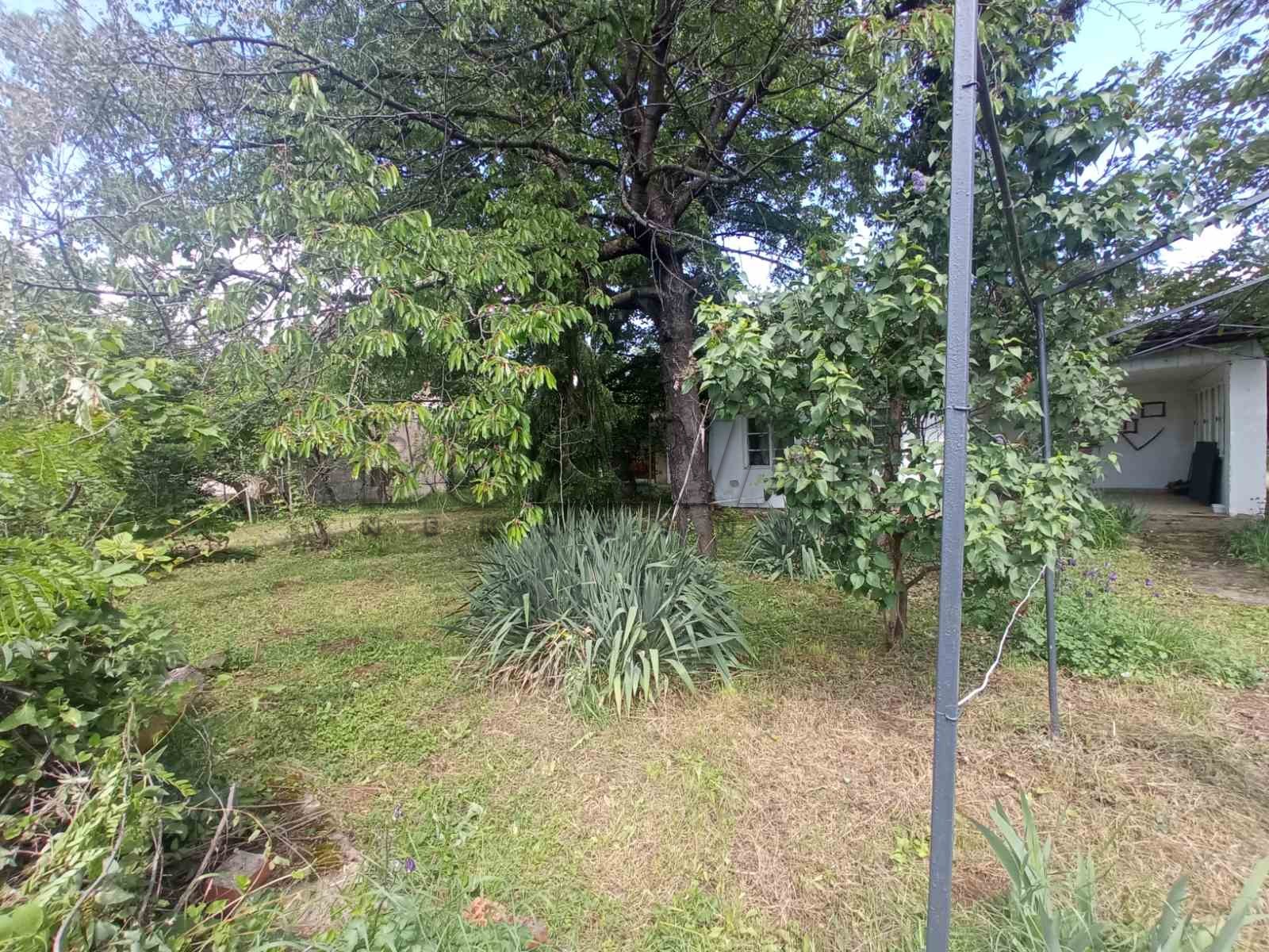 Plac, Niška Banja, Bulevar svetog cara ID: i-011388 15