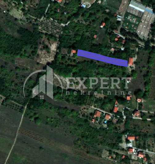 Plac, Pantelej, Petra Božovića ID: p-011520 1