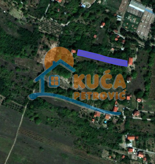 Plac, Pantelej, Petra Božovića ID: p-011520 1