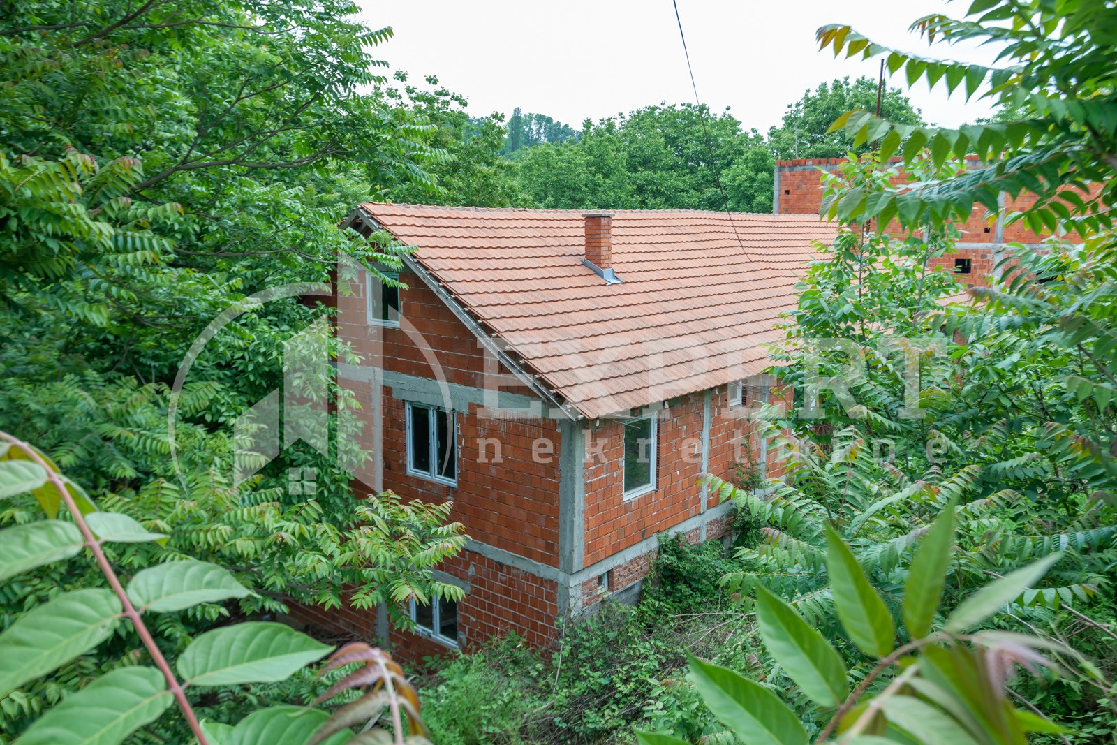 četvorosobna kuća, 400 m2, Palilula, Gabrovac ID: p-011548 12