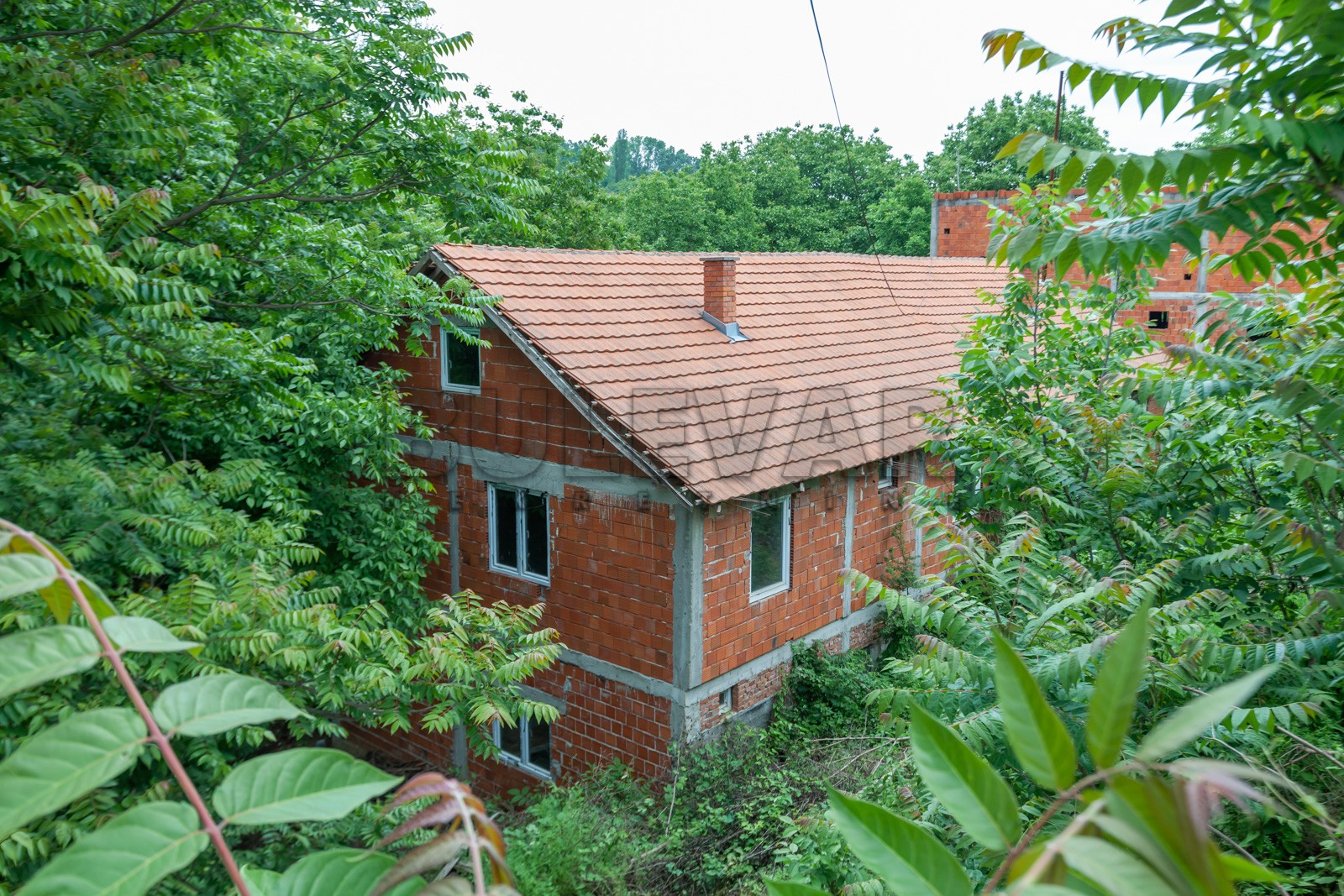 četvorosobna kuća, 400 m2, Palilula, Gabrovac ID: p-011548 12