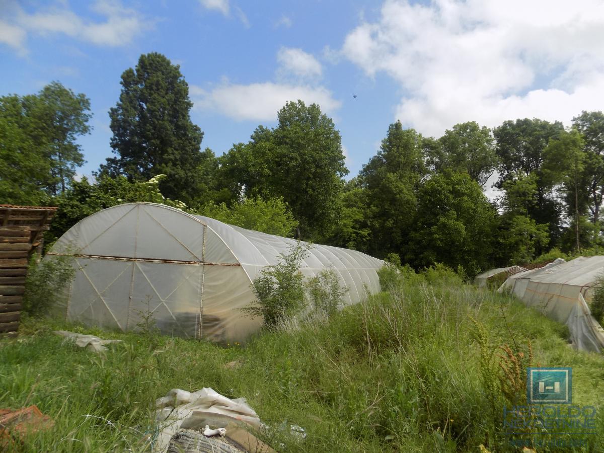 Oprema za plastenik od 1000m2 sa zemljištem 6