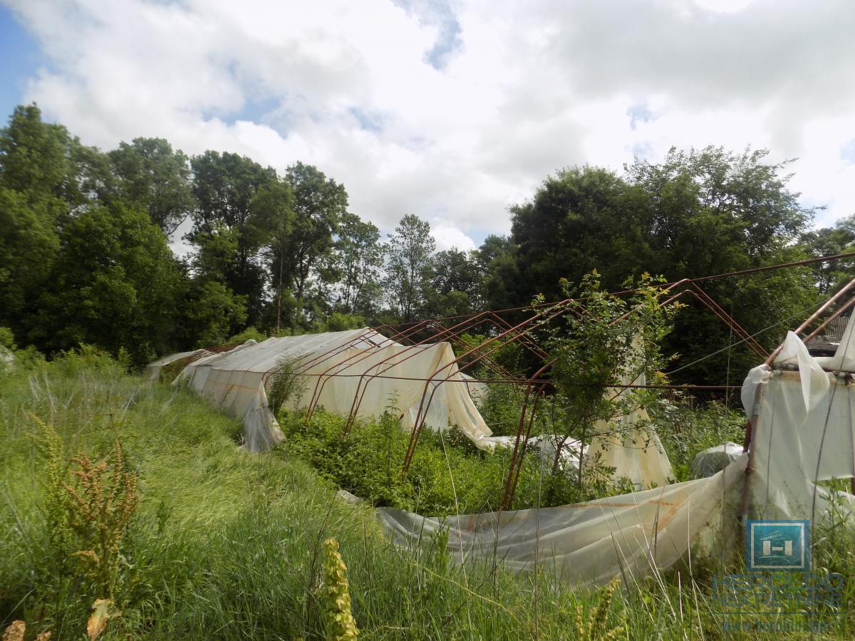 Oprema za plastenik od 1000m2 sa zemljištem 7
