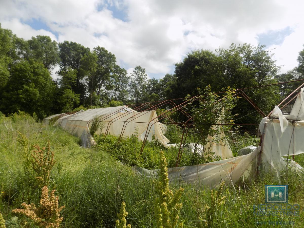 Oprema za plastenik od 1000m2 sa zemljištem 9