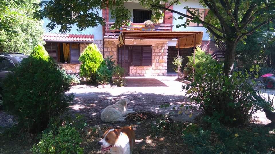 Prodajem kucu u Vincima Golubac 3