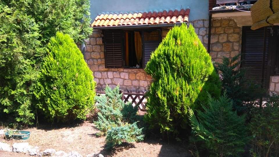 Prodajem kucu u Vincima Golubac 5