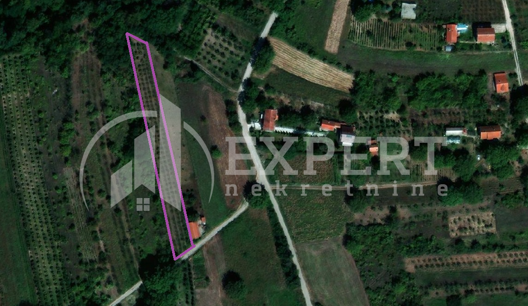 Plac, Gornji Matejevac, Gornji Matejevac ID: p-011569 1