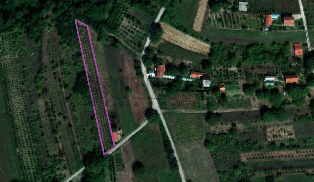 Plac, Gornji Matejevac, Gornji Matejevac ID: p-011569 1