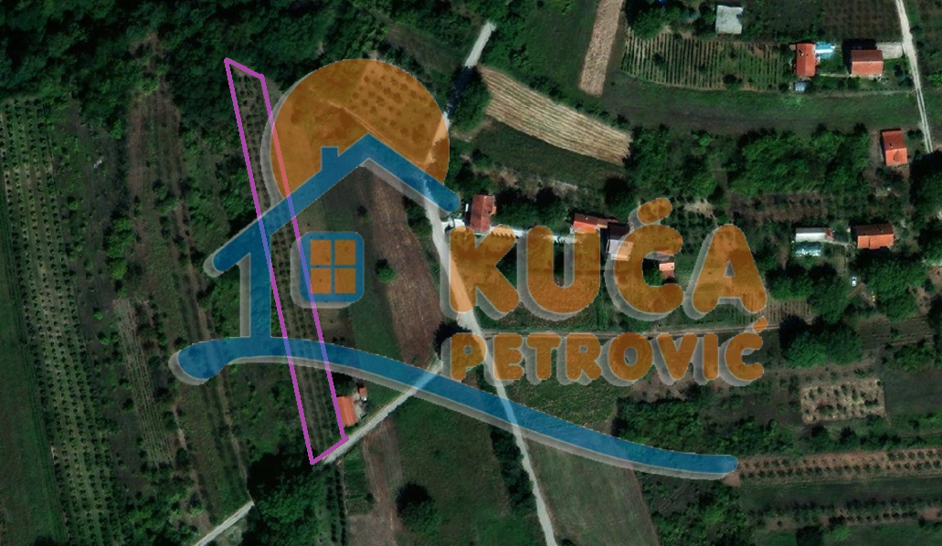 Plac, Gornji Matejevac, Gornji Matejevac ID: p-011569 1