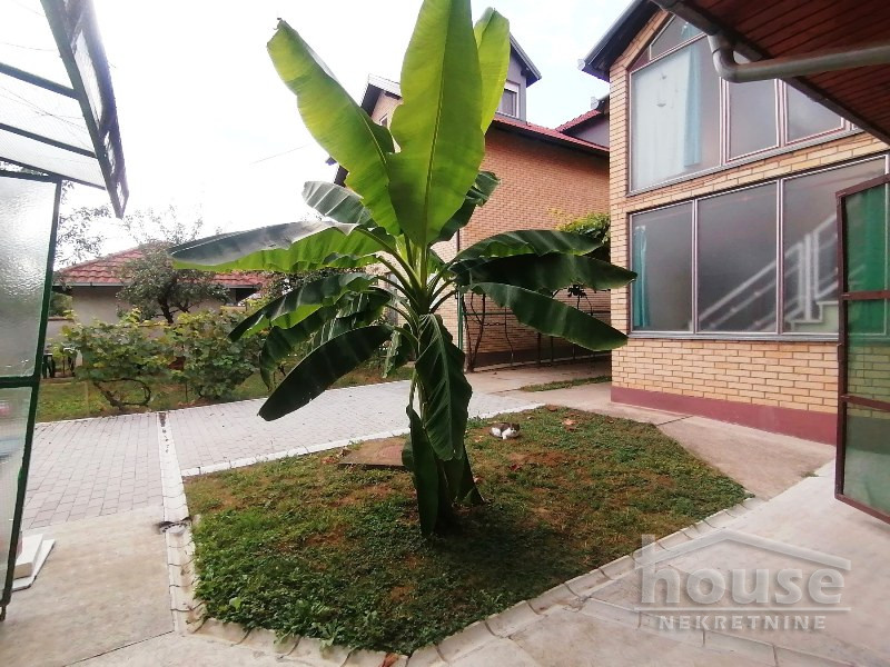 Kuca,PETROVARADIN,SADOVI250m2,257500€ , ID: 3045138 3