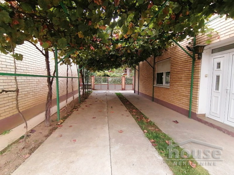 Kuca,PETROVARADIN,SADOVI250m2,257500€ , ID: 3045138 18