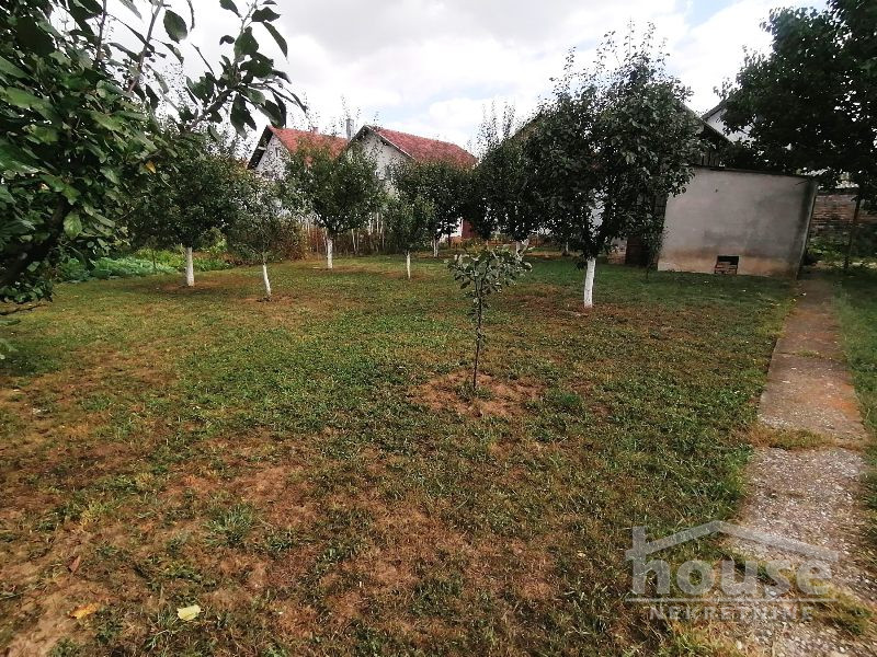 Kuca,PETROVARADIN,SADOVI250m2,257500€ , ID: 3045138 15