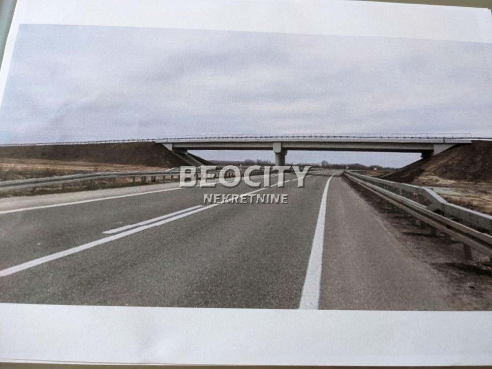 Plac, Kelebija, Y KRAK ID: 110116 2