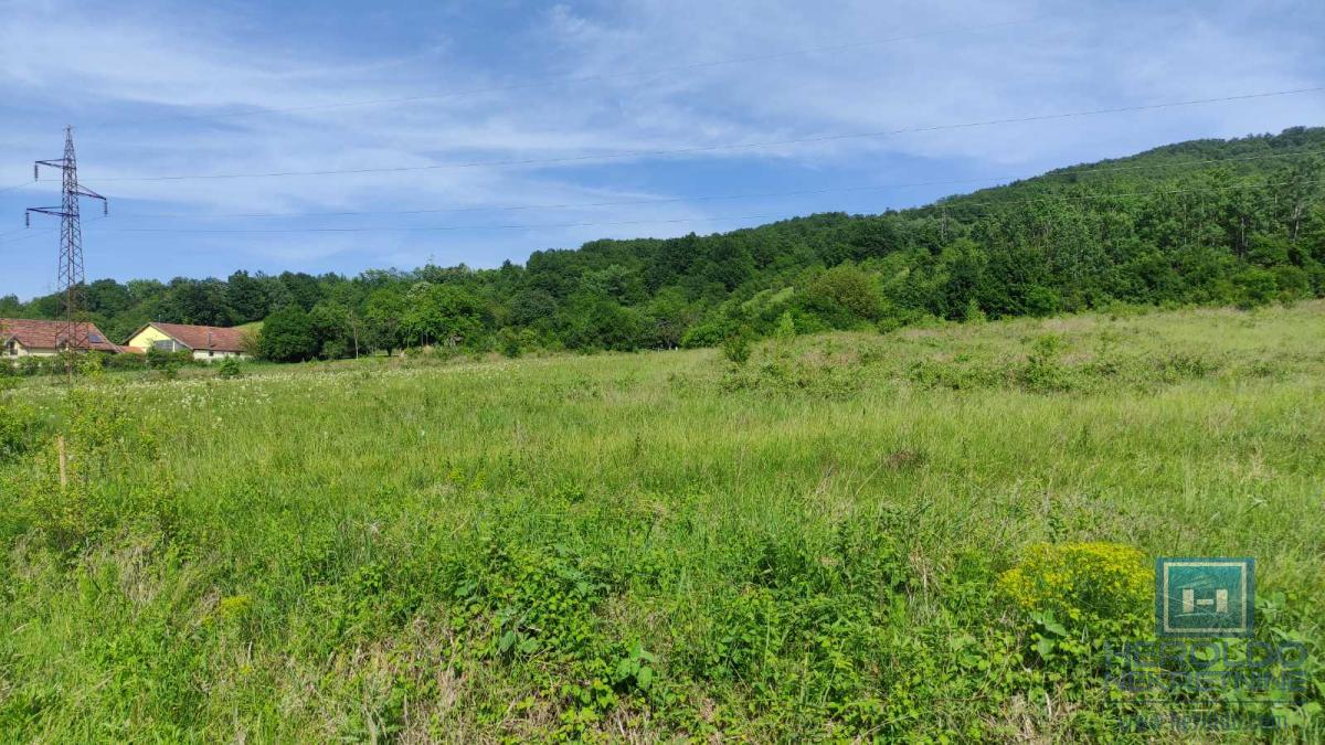 U ponudi velika parcela u turističkoj zoni Resave-Despotovac 10