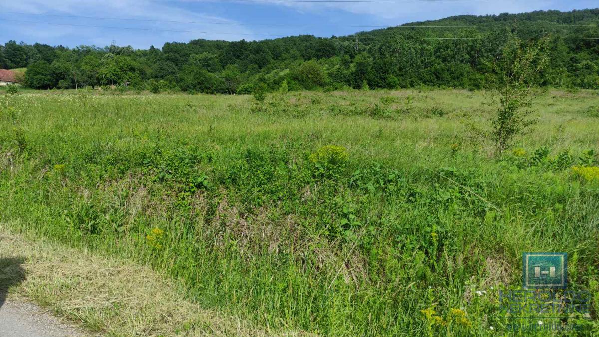 U ponudi velika parcela u turističkoj zoni Resave-Despotovac 11