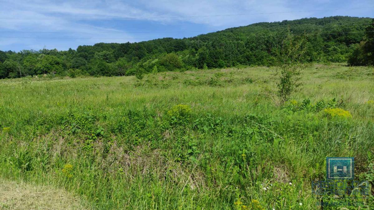 U ponudi velika parcela u turističkoj zoni Resave-Despotovac 12